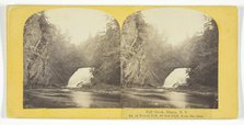 Fall Creek, Ithaca, N.Y. 2d, or Forest Fall, 60 feet high, from the dam, 1860/65. Creator: J. C. Burritt.