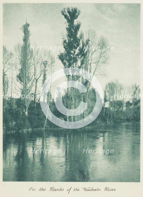 On the banks of the Waikato River. From the album: Camera Pictures of New Zealand, 1920s. Creator: Harry Moult.