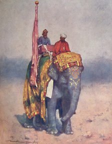 'An Elephant from the Sandy Wastes of Rajputana', 1903. Artist: Mortimer L Menpes.