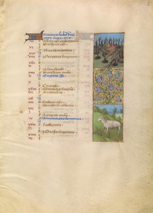 March Calendar Page; Planting; Aries; Katherine Hours, about 1480-1485. Creator: Unknown.