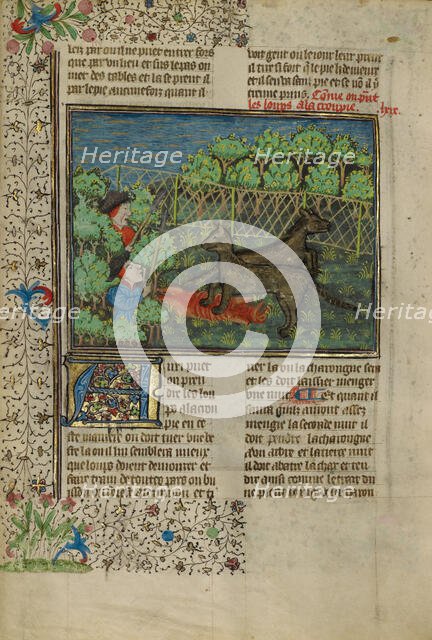 Hunters Attracting Wolves with Carrion; Livre de la Chasse, about 1430-1440. Creator: Unknown.