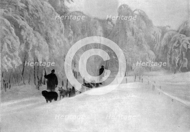 'Skieurs et chiens de guerre dans les neiges vosgiennes; Equipage de chiens de transport..., 1916. Creator: Unknown.