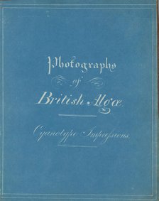 Photographs of British Algae: Cyanotype Impressions, ca. 1853. Creator: Anna Atkins.