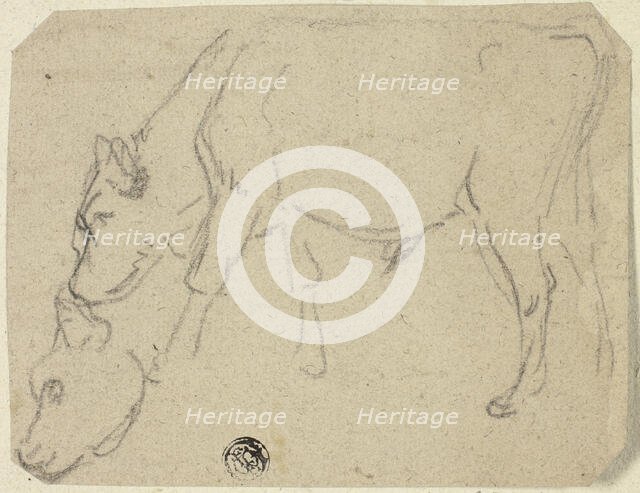 Sketches of Grazing Bull, Cow's Head (recto); Seated Cow in Profile (verso), n.d. Creator: Unknown.