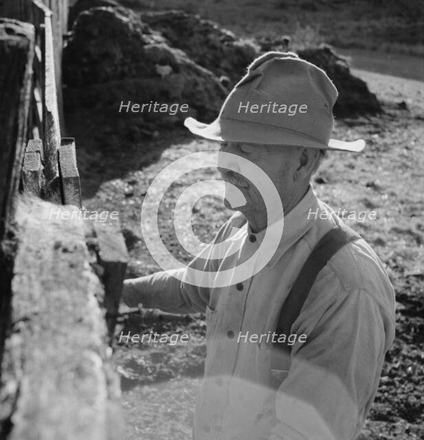 Untitled, between 1935 and 1942. Creator: Dorothea Lange.