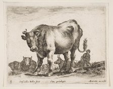 Plate 8: cow, from 'Various animals' (Diversi animali), ca. 1641. Creator: Stefano della Bella.