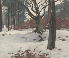 Trees in the snow, c.1870-c.1923. Creator: Willem Witsen.