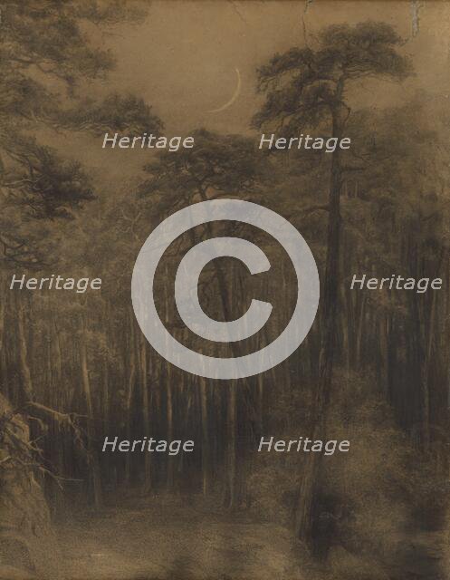 Pine forest, 1892-1893. Creator: Ludovit Cordak.