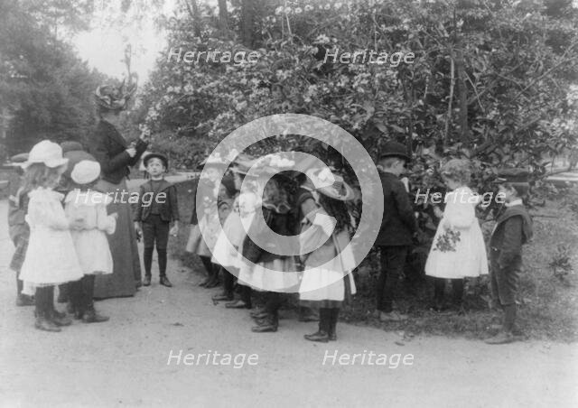 Outdoor class in botany, Washington, D.C., (1899?). Creator: Frances Benjamin Johnston.