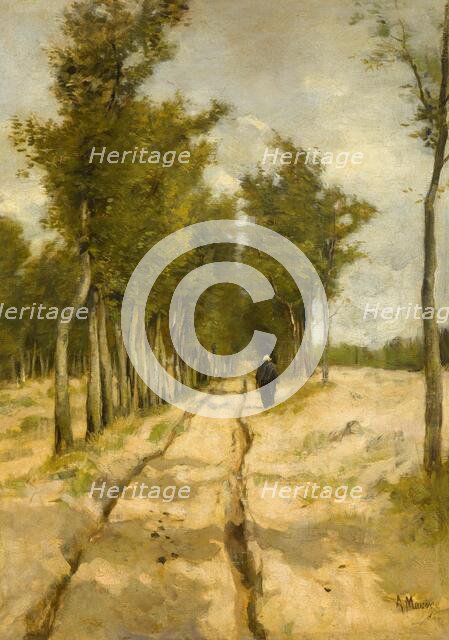 The Torenlaan in Laren, 1886. Creator: Anton Mauve.