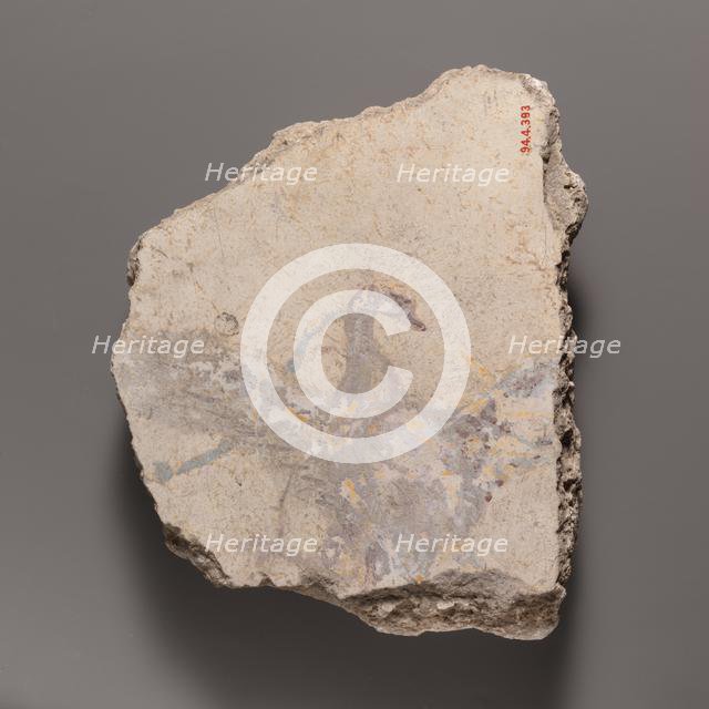 Wall painting fragment with a swan, ca. A.D. 14-68. Creator: Unknown.