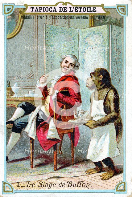 George-Louis Leclerc, Comte de Buffon, 18th century French naturalist, c1890. Artist: Unknown