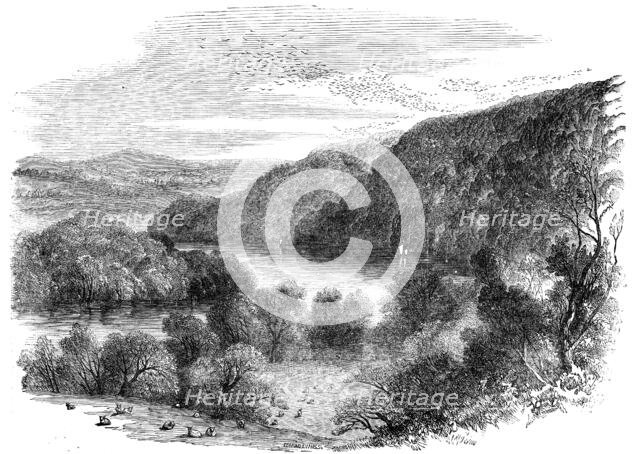 Sharpham, on the Dart, Devon - the Largest Rookery in England, 1856.  Creator: Edmund Evans.