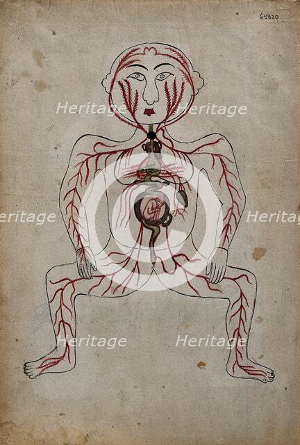 The arteries of the human body with a foetus in the womb, (between 1800 and 1899?). Creator: Unknown.