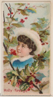 Holly: Foresight, from the series Floral Beauties and Language of Flowers (N75) for Duke b..., 1892. Creator: Donaldson Brothers.