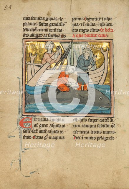 A Whale, 1277 or after. Creator: Unknown.