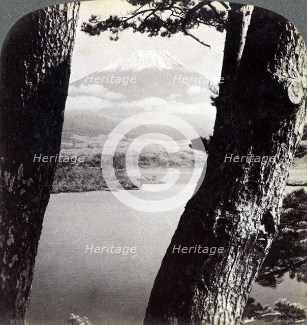 Mount Fuji, seen from the northwest, through pines at Lake Motosu, Japan, 1904. Artist: Underwood & Underwood