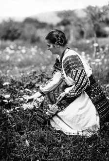 Young woman picking flowers, Bistrita Valley, Moldavia, north-east Romania, c1920-c1945. Artist: Adolph Chevalier