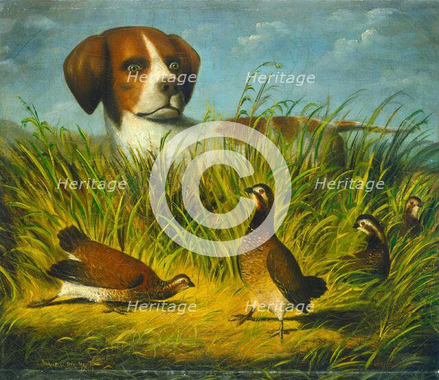 On Point, 1854 or after. Creator: D.G. Stouter.