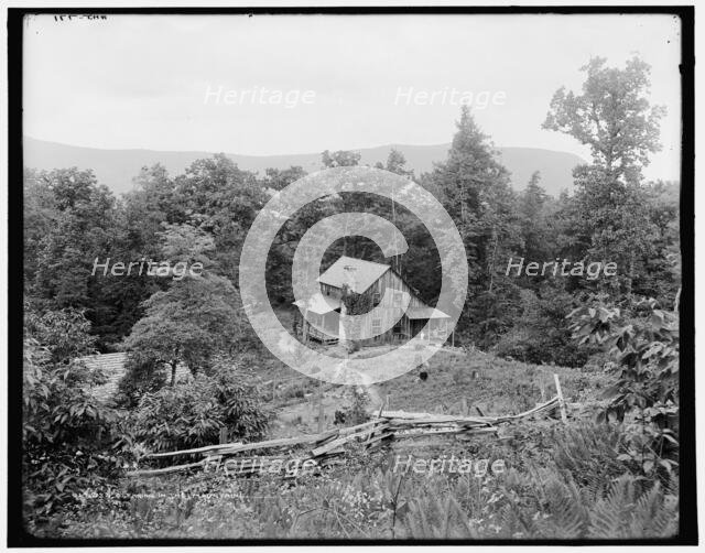 A clearing in the mountains, (1902?). Creator: William H. Jackson.