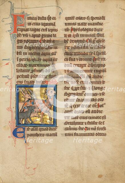 A Panther; De Natura Avium; De Pastoribus et Ovibus; Bestiarium, 1277 or after. Creator: Unknown.