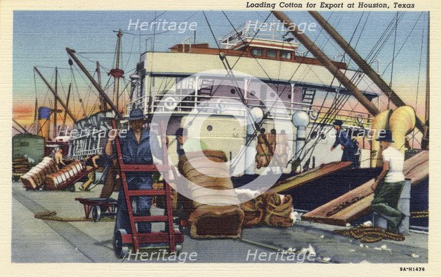 Loading cotton for export, Houston, Texas, USA, 1939. Artist: Unknown
