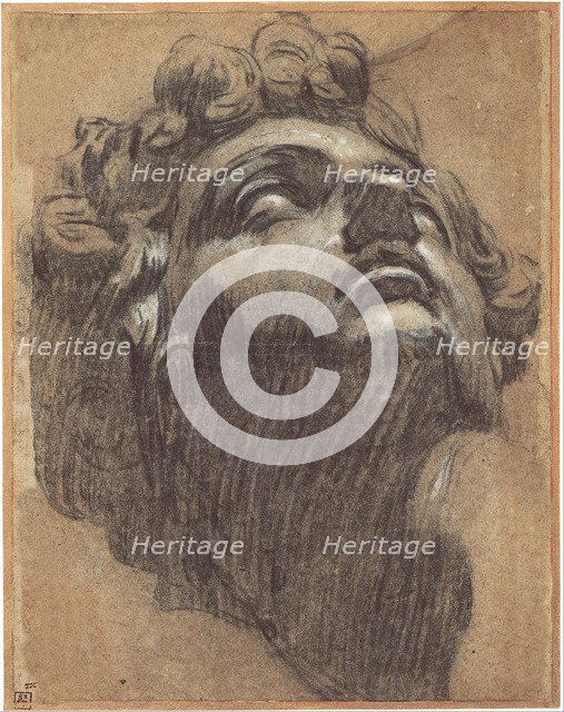 Head of Giuliano de' Medici (1479–1516), 1540s. Artist: Tintoretto, Jacopo (1518-1594)