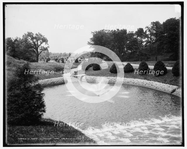 A Vista in Forest Park, Springfield, Mass., c1905. Creator: Unknown.