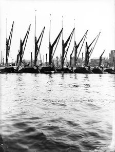Topsail barges at anchor on the Thames, some with topsails lowered, London, c1905. Artist: Unknown
