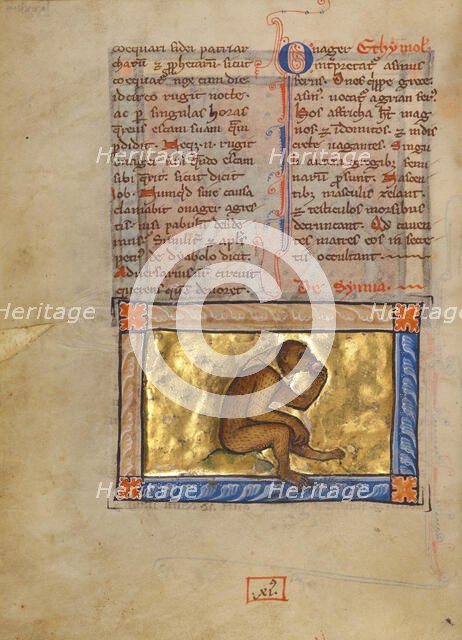 A Monkey; Bestiary, about 1270. Creator: Unknown.