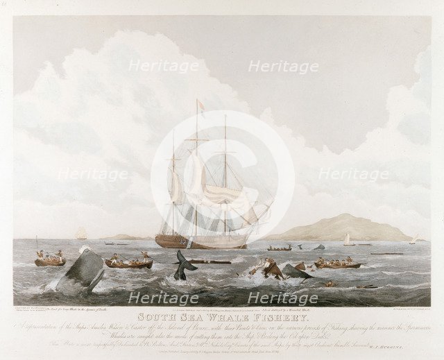 South Sea Whale Fishery, 1825. Artist: Unknown