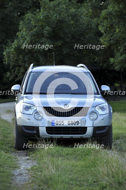 Skoda Yeti 2009. Artist: Simon Clay.