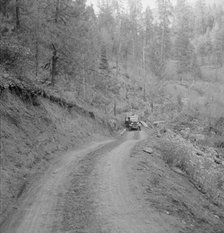 Bringing in load of logs late in the afternoon from the woods..., Gem County, Idaho, 1939. Creator: Dorothea Lange.