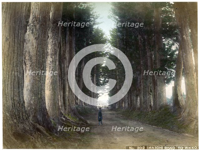 Imaichi Road at Nikko, Japan, early 20th century(?). Artist: Unknown