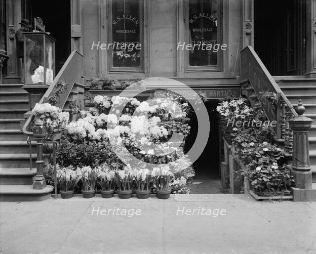 An Easter floral display, New York, between 1900 and 1910. Creator: Unknown.
