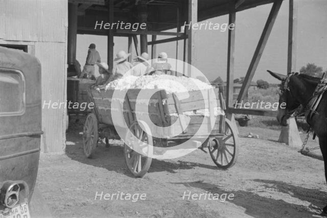 At the cotton gin, Cotton gin and wagons, Hale County, Alabama, 1936. Creator: Walker Evans.
