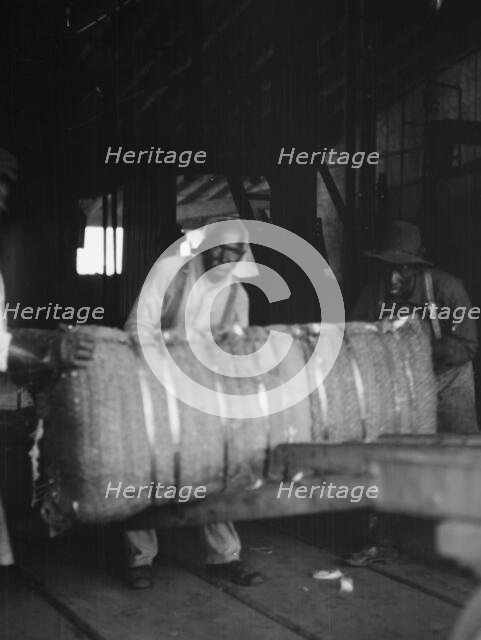 At the cotton press, New Orleans, between 1920 and 1926. Creator: Arnold Genthe.