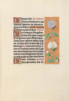 Hours of Queen Isabella the Catholic, Queen of Spain: Fol. 47r, c. 1500. Creator: Master of the First Prayerbook of Maximillian (Flemish, c. 1444-1519); Associates, and.