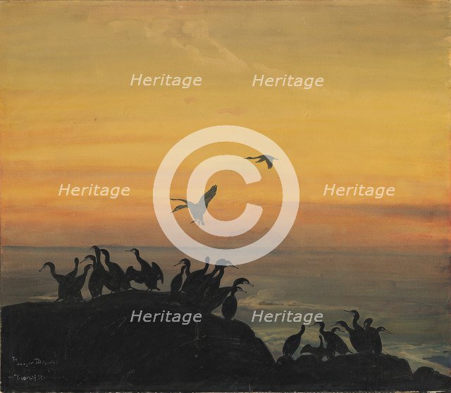 Cormorants by sunset, .