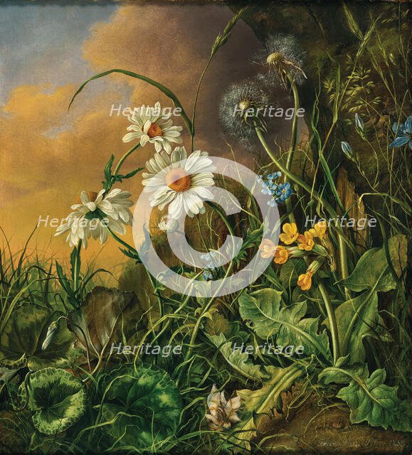 Forest ground with daisies, primroses and dandelions, 1858. Creator: Petter, Franz Xaver (1791-1866).