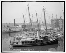 Oyster luggers at the docks, Baltimore, Md., c1905. Creator: Unknown.
