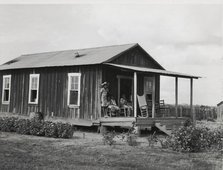 Allen Plantation operated by Natchitoches Farmstead Association, a cooperative established..., 1940. Creator: Marion Post Wolcott.