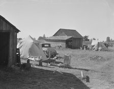 Bean pickers camp in grower's yard - no running..., near West Stayton, Marion County, Oregon, 1939. Creator: Dorothea Lange.