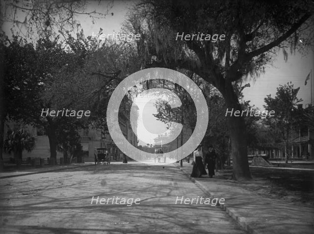King Street, St. Augustine, c1902. Creator: William H. Jackson.
