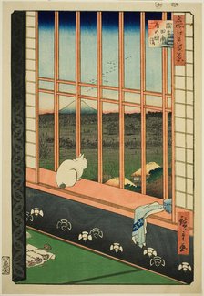Asakusa Rice Fields and Torinomachi Festival (Asakusa tanbo Torinomachi mode..., 1857. Creator: Ando Hiroshige.