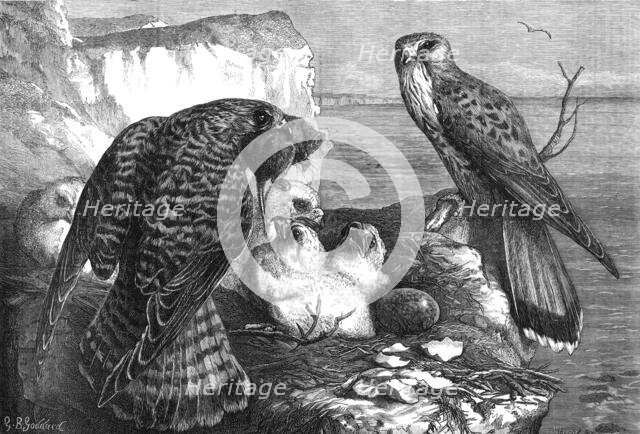 The months: June, 1871. Creator: Horace Harral.