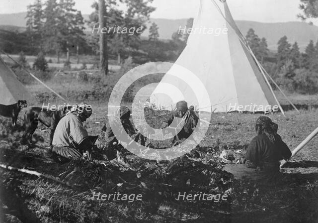 Jerking meat-Flathead, c1910. Creator: Edward Sheriff Curtis.
