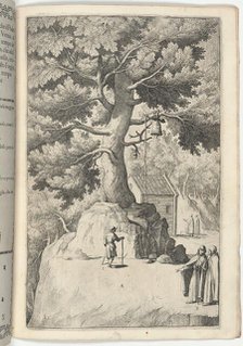 Beech Tree with the Bell (Faggio della campana) [plate X], 1612. Creator: Jacopo Ligozzi.