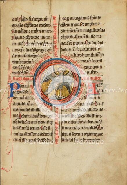 A Falcon within a Cross; De Natura Avium; De Pastoribus et Ovibus; Bestiarium, 1277 or after. Creator: Unknown.