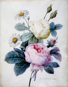 Bouquet of Roses with Daisies, 1834.